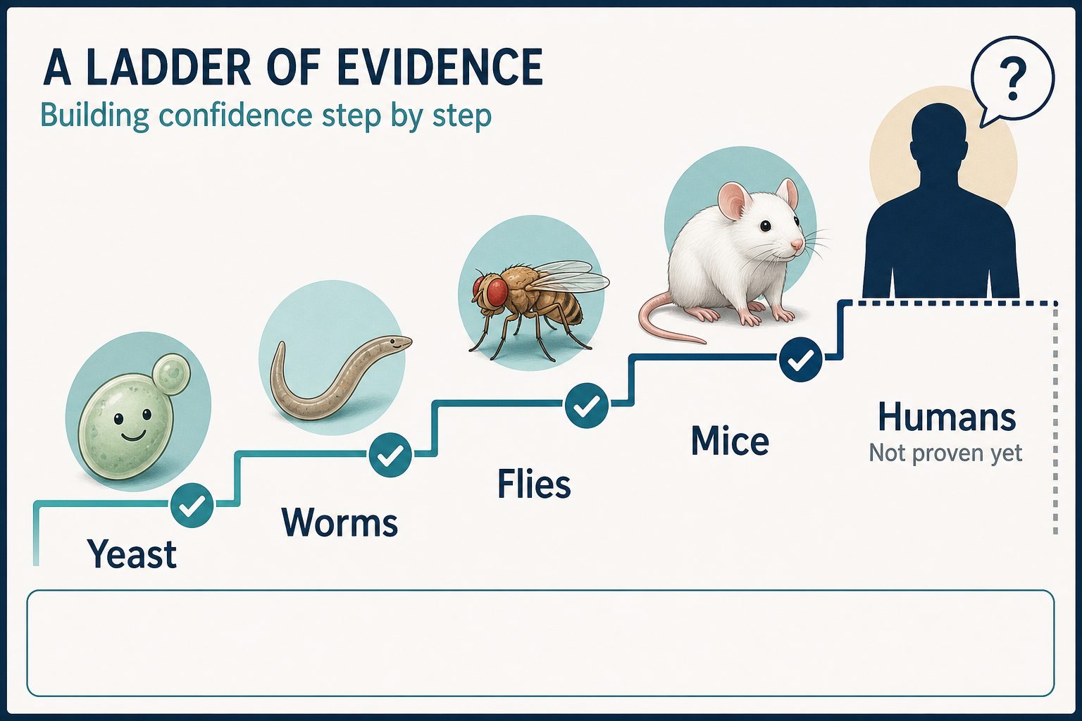 Evidence ladder from yeast to humans