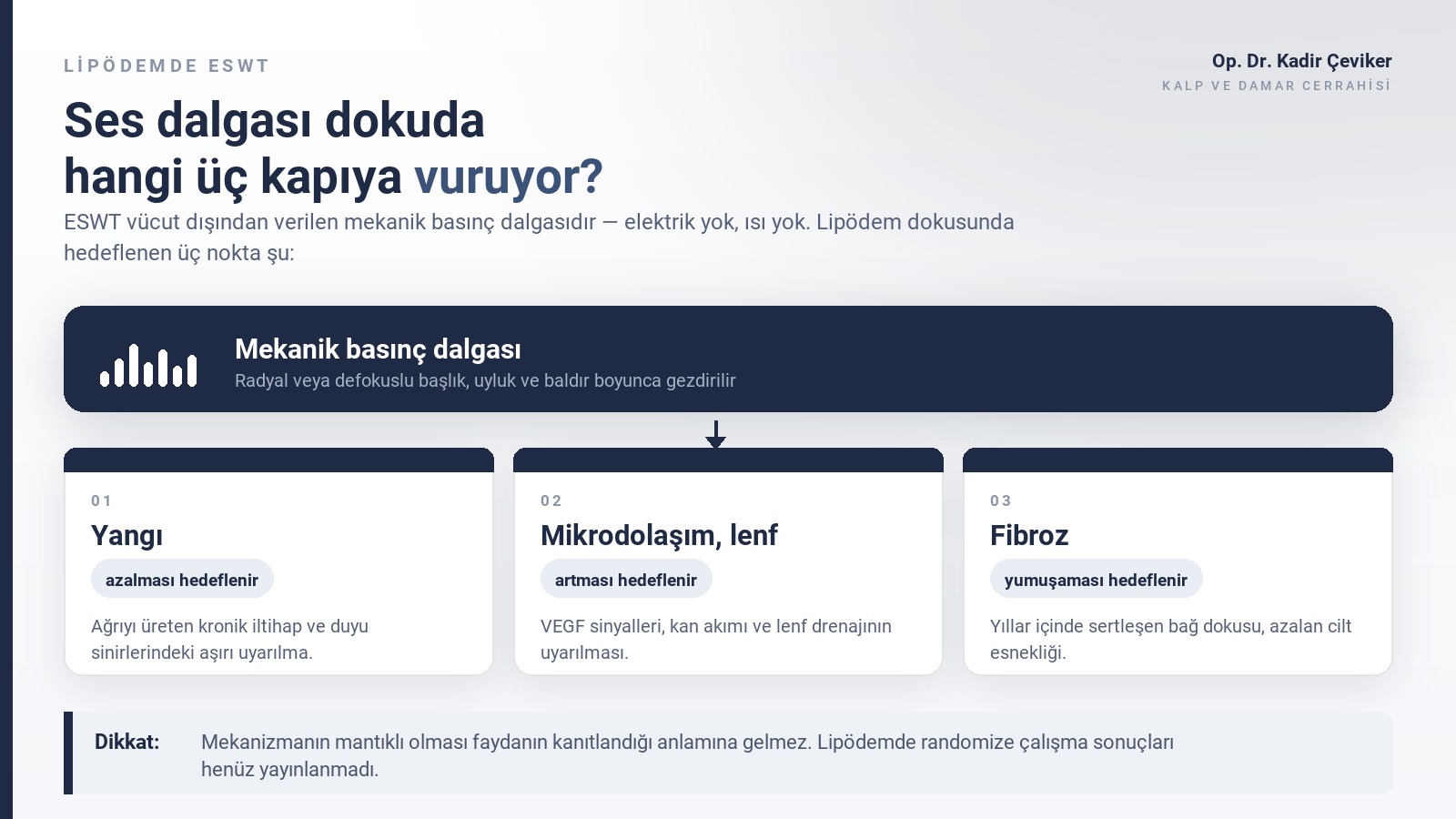 Lipödem dokusunda yangı, mikrodolaşım ve fibroz üzerinden ESWT etki mekanizması şeması